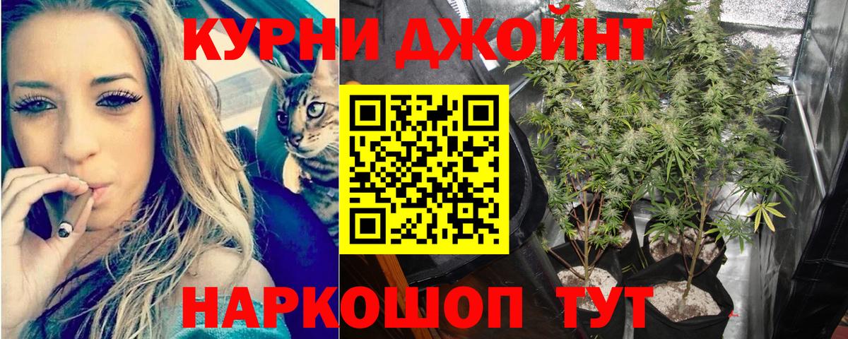 Свободный  Конопля индика  Каннабис конопля  МАРИХУАНА ГИДРОПОН  Вход с VPN  Бошки Шишки тримм 